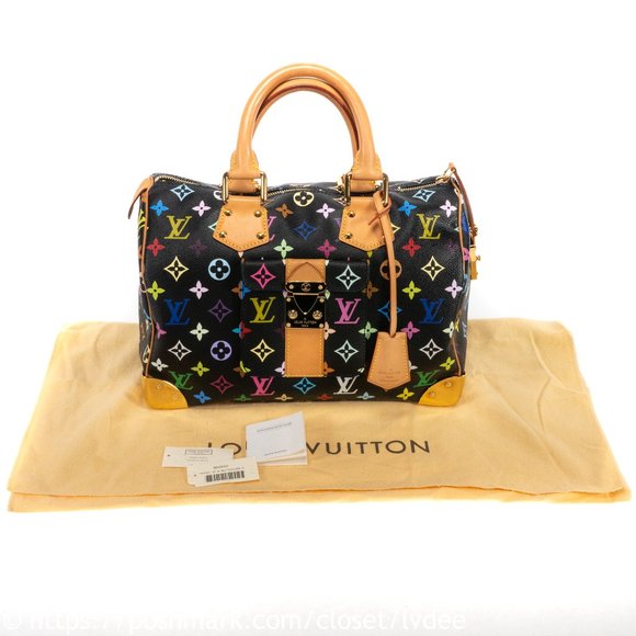 ⚜️SOLD! ⚜️ Louis Vuitton Speedy 30 Multicolor - Picture 1 of 8
